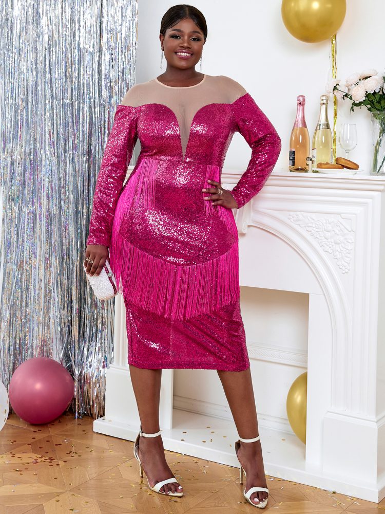 Rose Mesh Patchwork Sequins Fringe Sexy Dresses